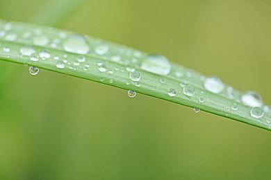 《足球经理2022》正式公布 今年11月9日发售